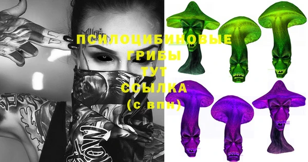 МДПВ Алексеевка