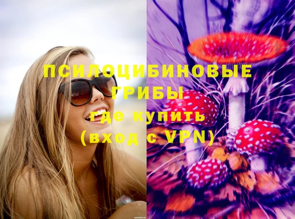 МДПВ Алексеевка
