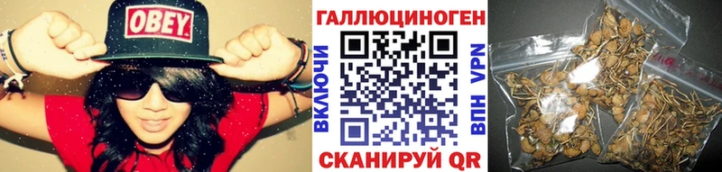 Галлюциногенные грибы Magic Shrooms где найти Усмань